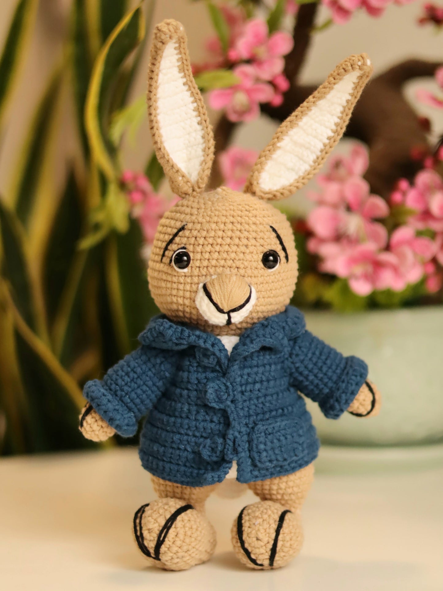Peter the Rabbit