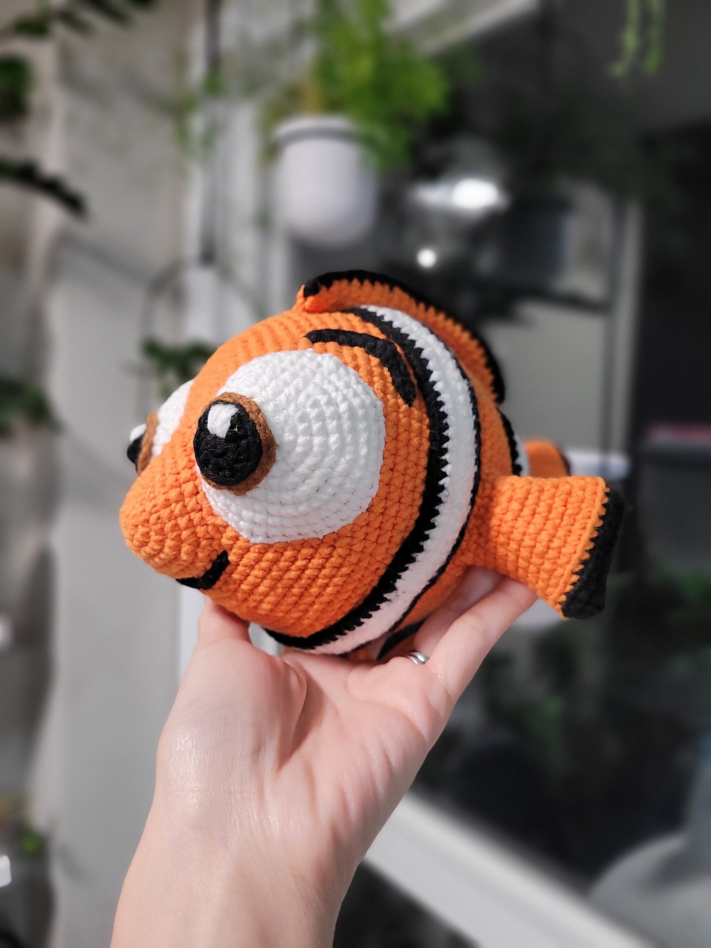 Cute clown fish