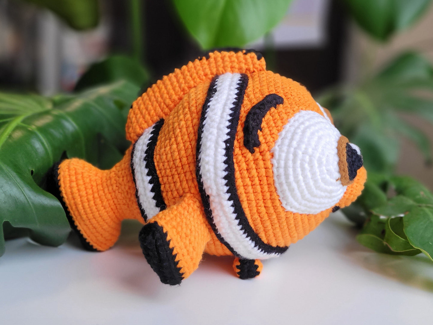 Cute clown fish