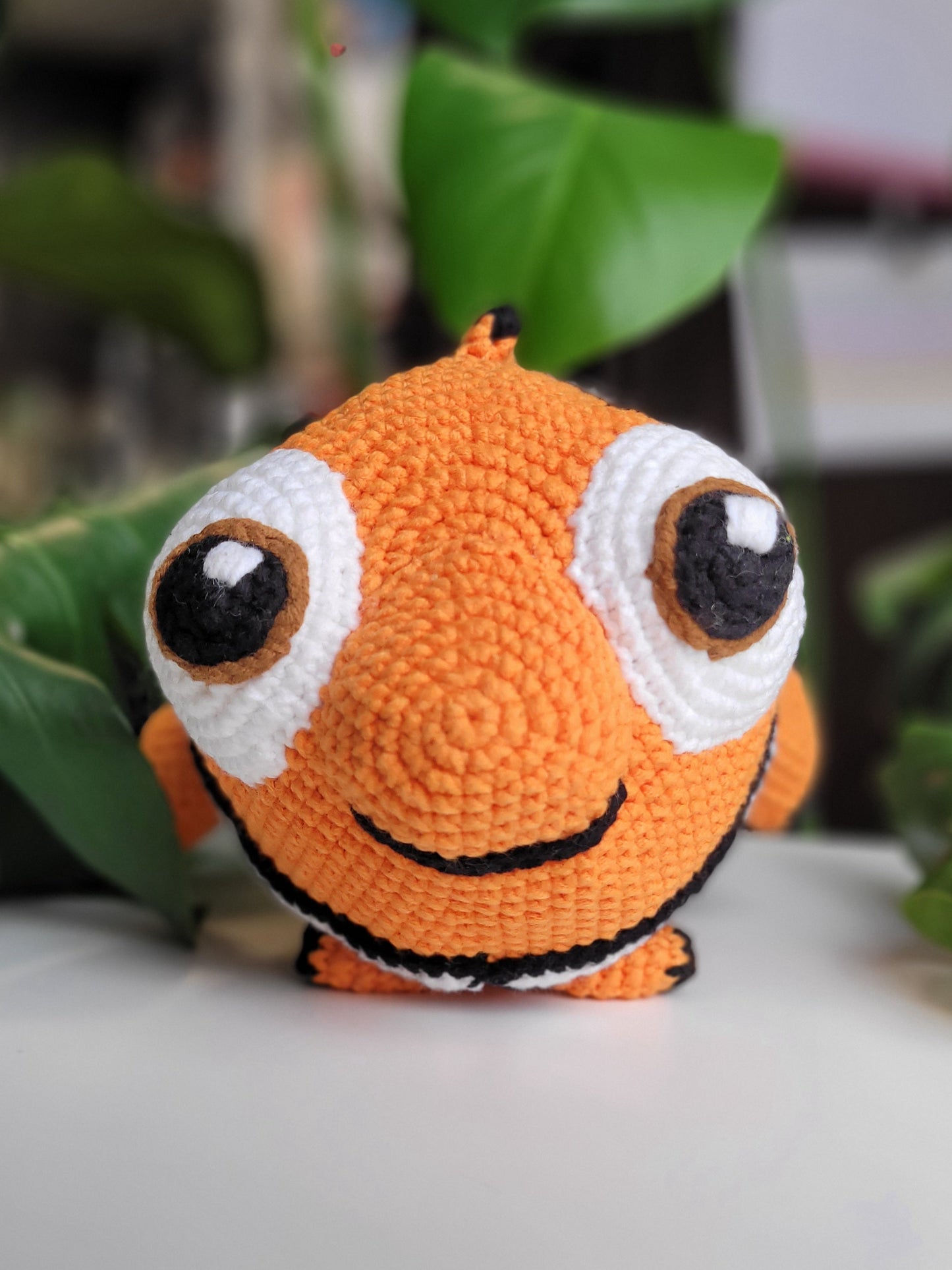 Cute clown fish