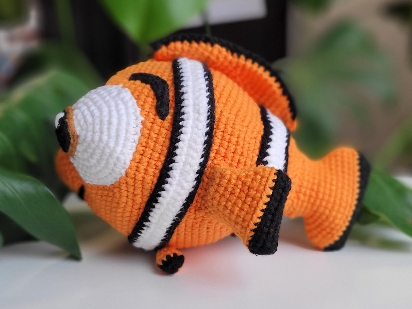 Cute clown fish