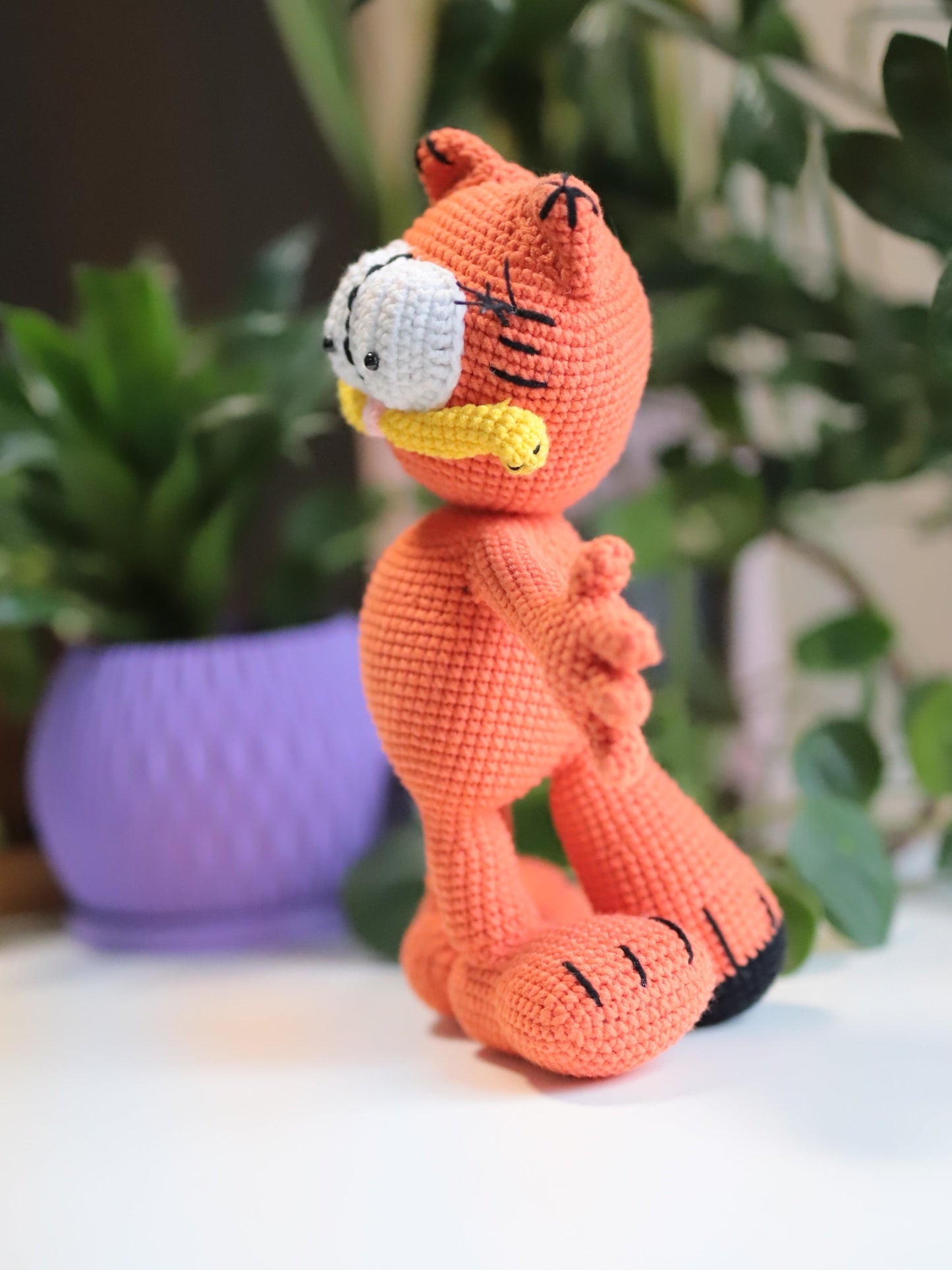 Orange Cat