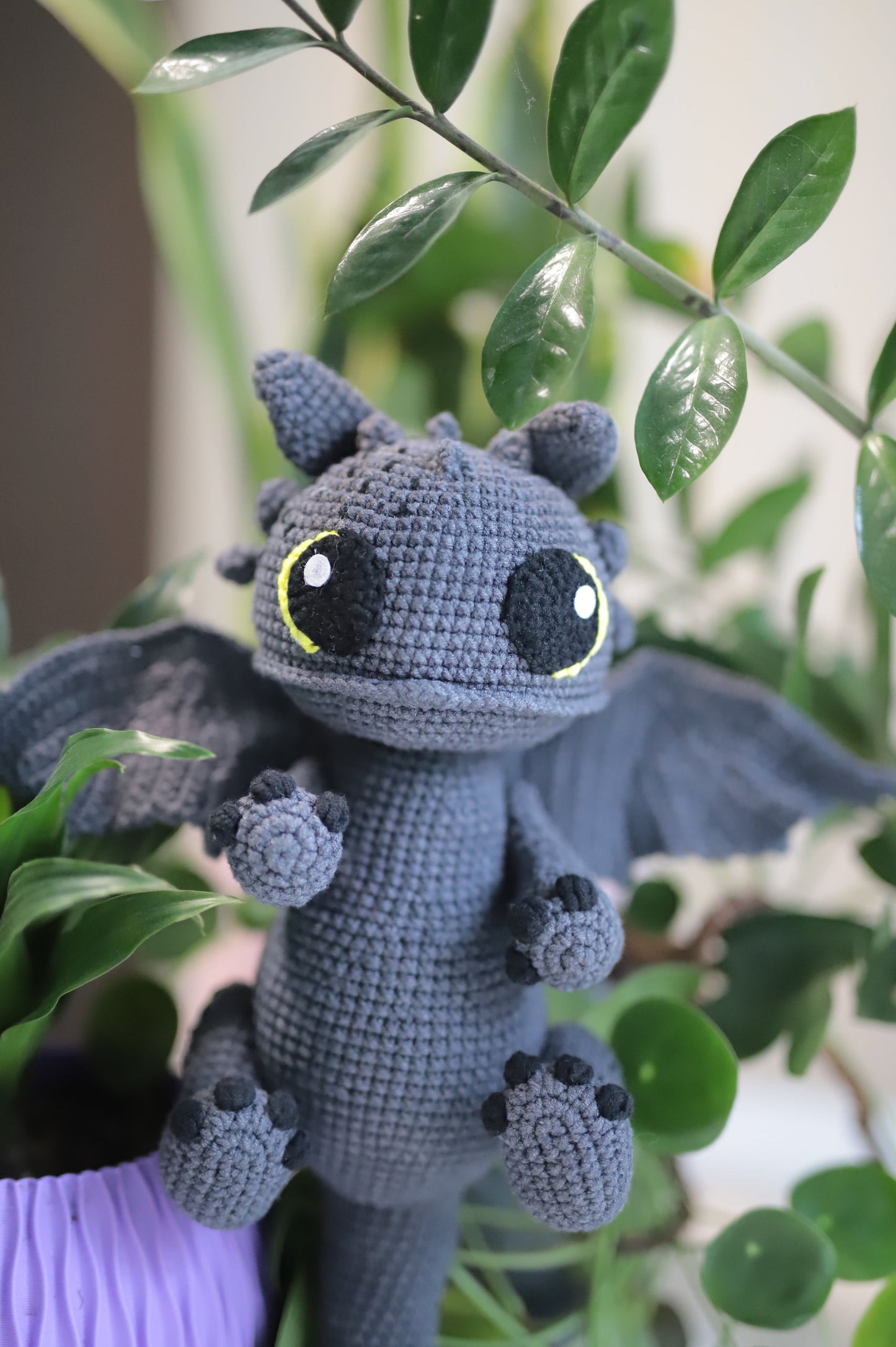 Dragon couple